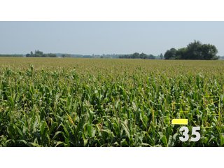 Property photo 130 - Land Auction - 3,379 Acres in 48 Tracts, 2,900 Acres Tillable, Large Contiguous Tracts - Investment Potential